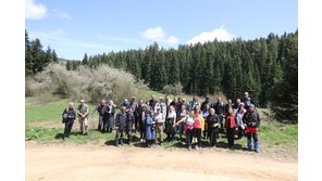 Sarıçiçek Göl Yayla Doğa Yürüyüşü