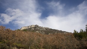 Bulak Bağları Doğa Yürüyüşü